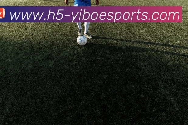 体育下注服务体系